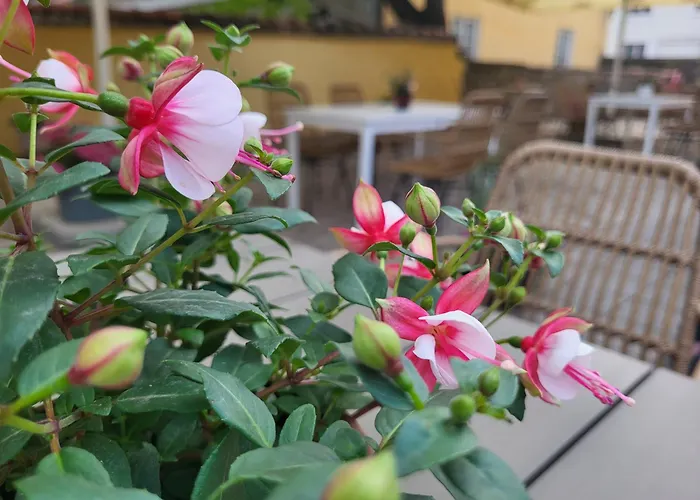 Amante Boutique 3* Κουρεσάαρε